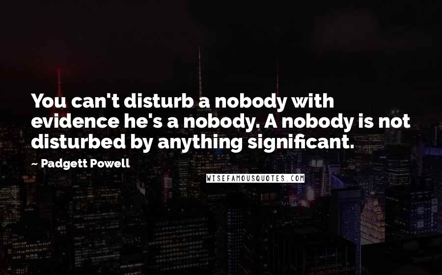 Padgett Powell Quotes: You can't disturb a nobody with evidence he's a nobody. A nobody is not disturbed by anything significant.