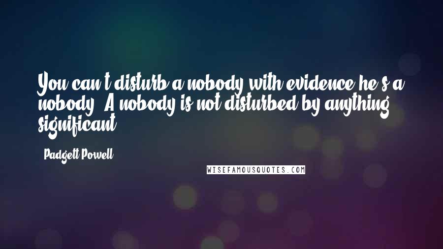 Padgett Powell Quotes: You can't disturb a nobody with evidence he's a nobody. A nobody is not disturbed by anything significant.