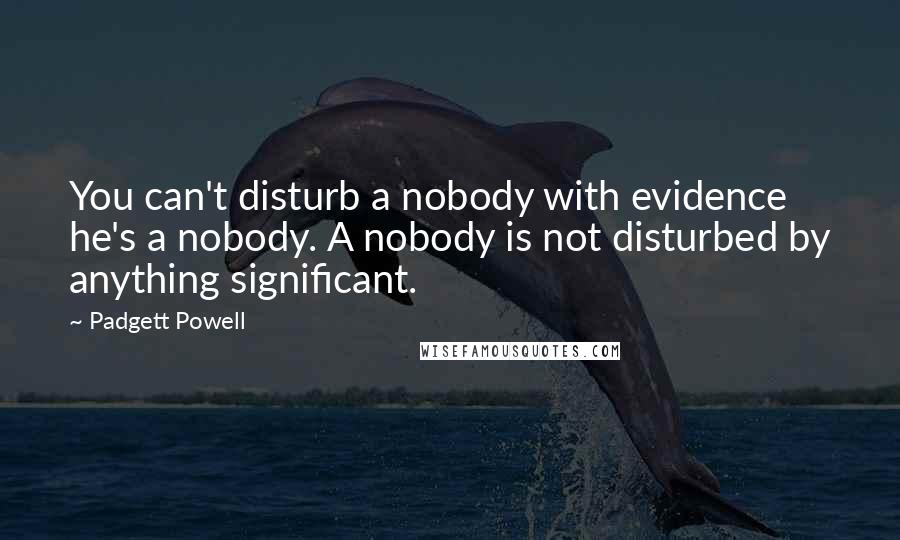 Padgett Powell Quotes: You can't disturb a nobody with evidence he's a nobody. A nobody is not disturbed by anything significant.