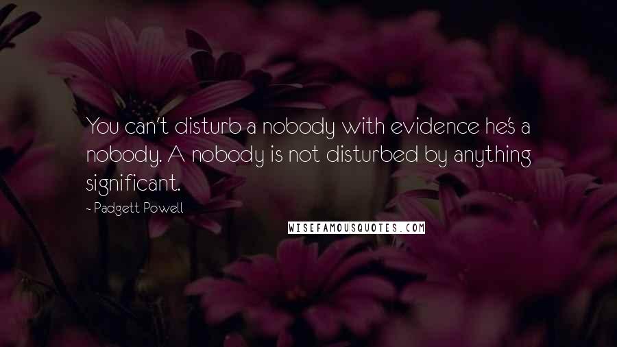 Padgett Powell Quotes: You can't disturb a nobody with evidence he's a nobody. A nobody is not disturbed by anything significant.
