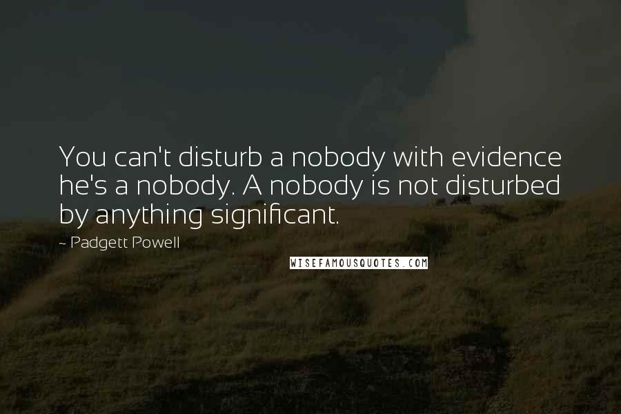 Padgett Powell Quotes: You can't disturb a nobody with evidence he's a nobody. A nobody is not disturbed by anything significant.