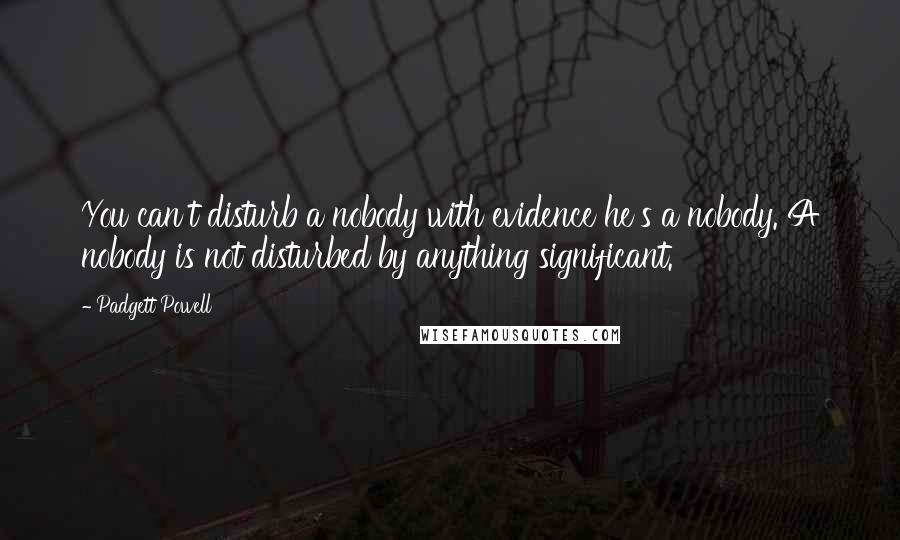Padgett Powell Quotes: You can't disturb a nobody with evidence he's a nobody. A nobody is not disturbed by anything significant.