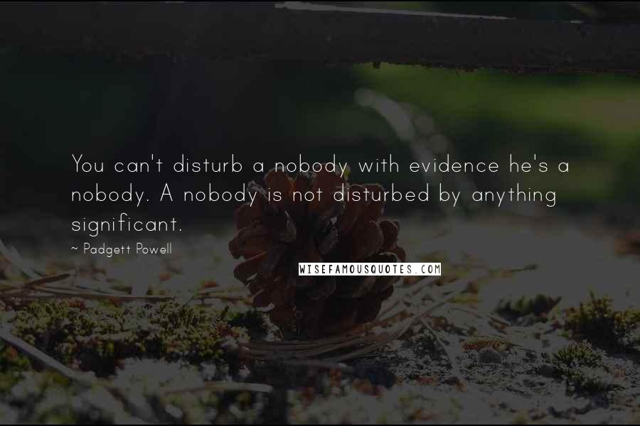 Padgett Powell Quotes: You can't disturb a nobody with evidence he's a nobody. A nobody is not disturbed by anything significant.