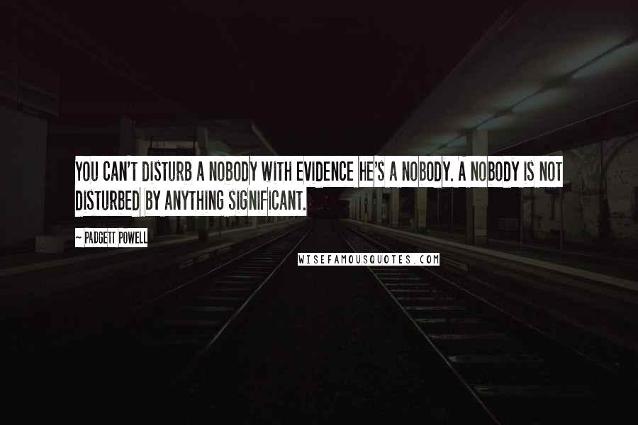 Padgett Powell Quotes: You can't disturb a nobody with evidence he's a nobody. A nobody is not disturbed by anything significant.