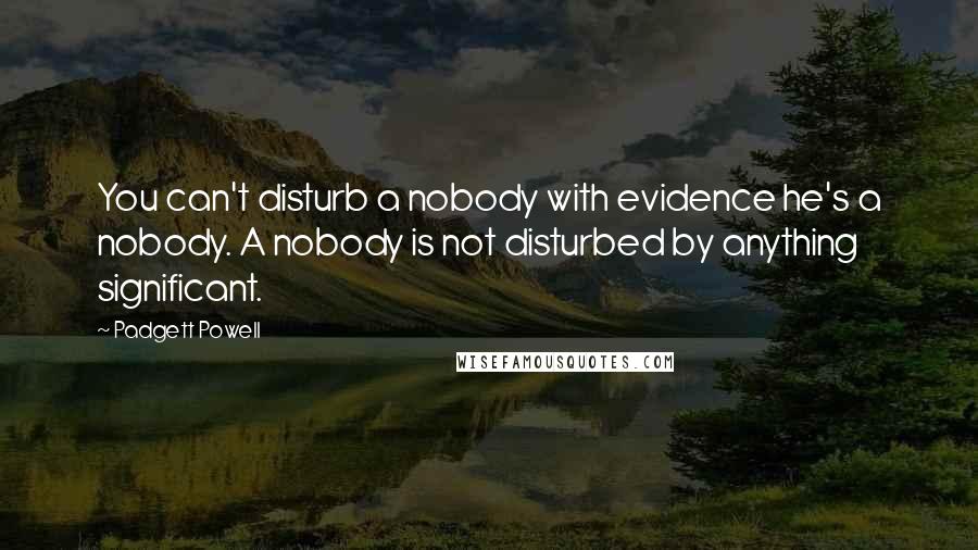 Padgett Powell Quotes: You can't disturb a nobody with evidence he's a nobody. A nobody is not disturbed by anything significant.