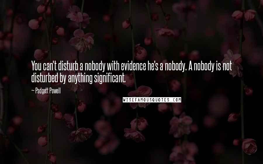 Padgett Powell Quotes: You can't disturb a nobody with evidence he's a nobody. A nobody is not disturbed by anything significant.