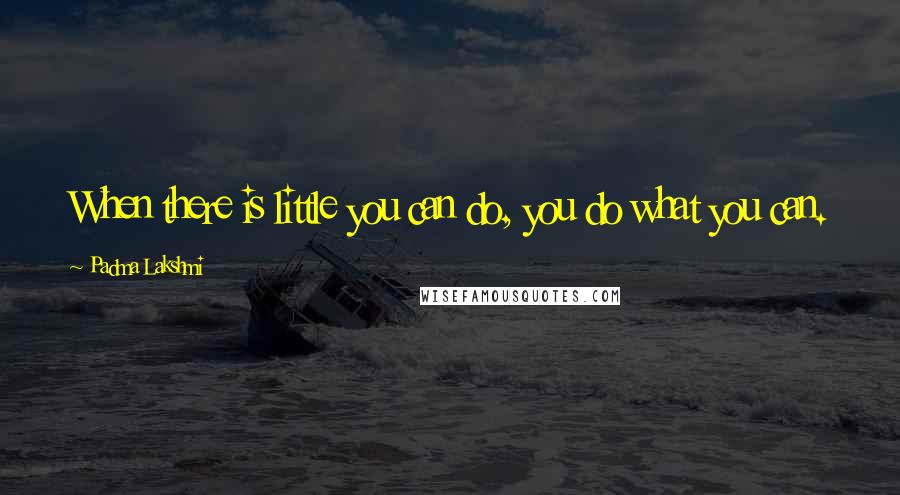Padma Lakshmi Quotes: When there is little you can do, you do what you can.