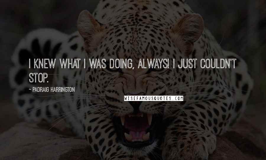 Padraig Harrington Quotes: I knew what I was doing, always! I just couldn't stop.