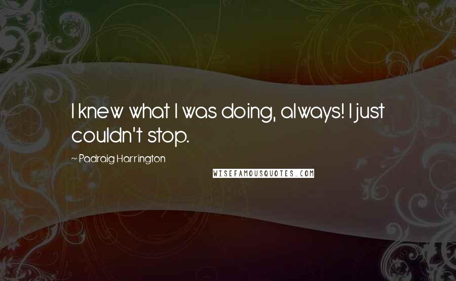 Padraig Harrington Quotes: I knew what I was doing, always! I just couldn't stop.