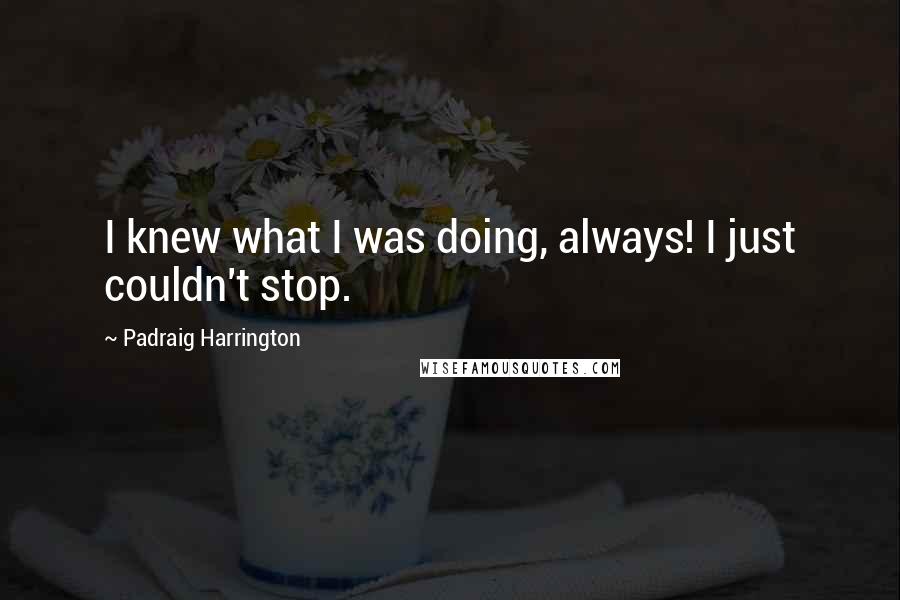 Padraig Harrington Quotes: I knew what I was doing, always! I just couldn't stop.