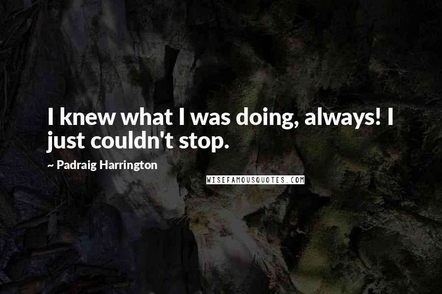 Padraig Harrington Quotes: I knew what I was doing, always! I just couldn't stop.