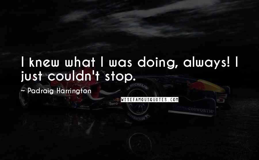 Padraig Harrington Quotes: I knew what I was doing, always! I just couldn't stop.