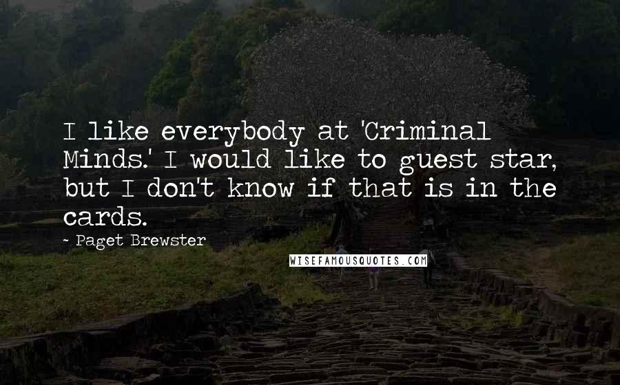 Paget Brewster Quotes: I like everybody at 'Criminal Minds.' I would like to guest star, but I don't know if that is in the cards.