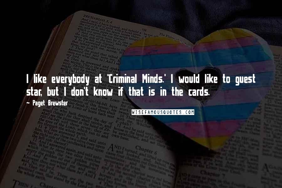 Paget Brewster Quotes: I like everybody at 'Criminal Minds.' I would like to guest star, but I don't know if that is in the cards.