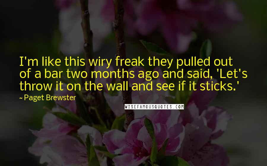 Paget Brewster Quotes: I'm like this wiry freak they pulled out of a bar two months ago and said, 'Let's throw it on the wall and see if it sticks.'