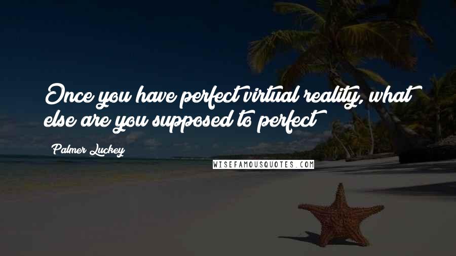 Palmer Luckey Quotes: Once you have perfect virtual reality, what else are you supposed to perfect?