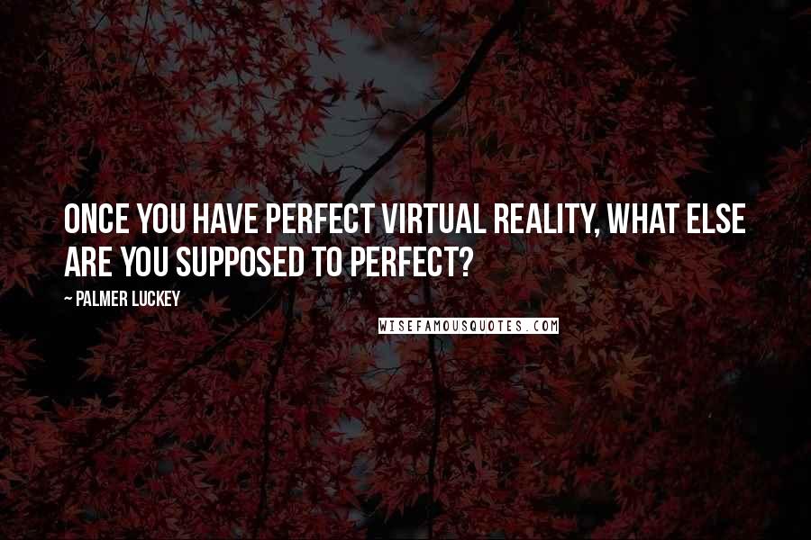 Palmer Luckey Quotes: Once you have perfect virtual reality, what else are you supposed to perfect?