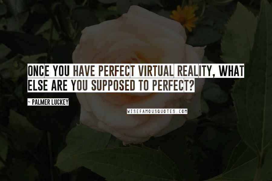 Palmer Luckey Quotes: Once you have perfect virtual reality, what else are you supposed to perfect?