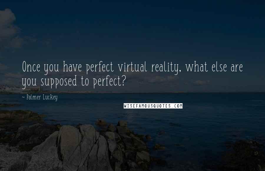 Palmer Luckey Quotes: Once you have perfect virtual reality, what else are you supposed to perfect?