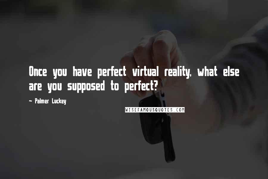 Palmer Luckey Quotes: Once you have perfect virtual reality, what else are you supposed to perfect?