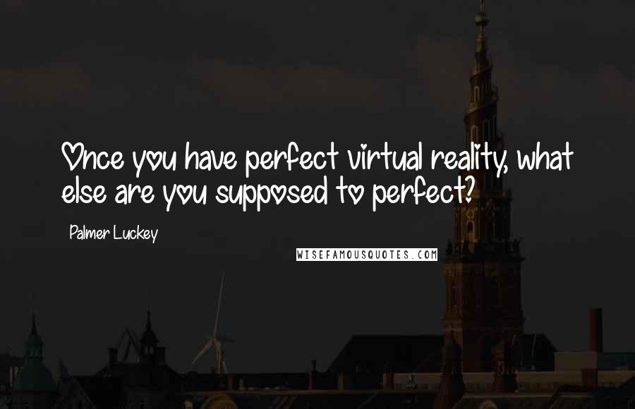 Palmer Luckey Quotes: Once you have perfect virtual reality, what else are you supposed to perfect?