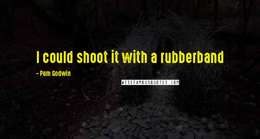 Pam Godwin Quotes: I could shoot it with a rubberband