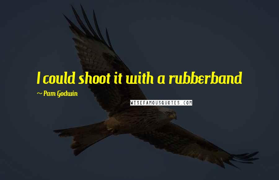 Pam Godwin Quotes: I could shoot it with a rubberband