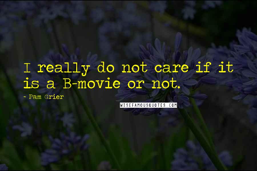 Pam Grier Quotes: I really do not care if it is a B-movie or not.