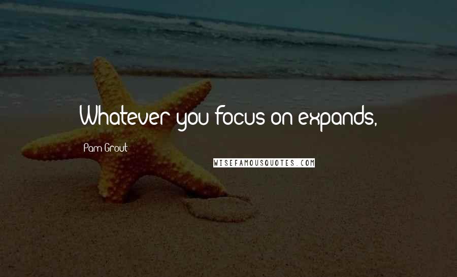 Pam Grout Quotes: Whatever you focus on expands,