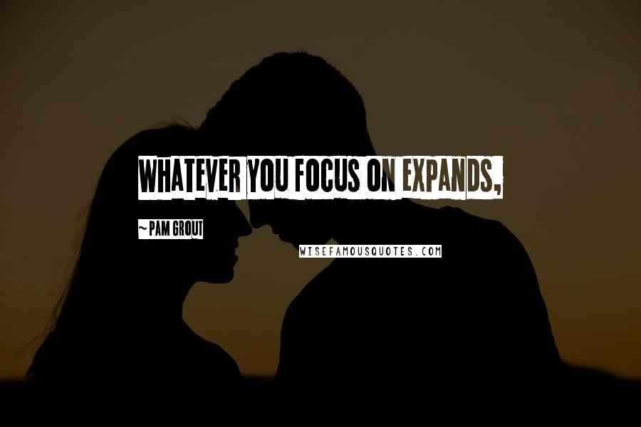 Pam Grout Quotes: Whatever you focus on expands,