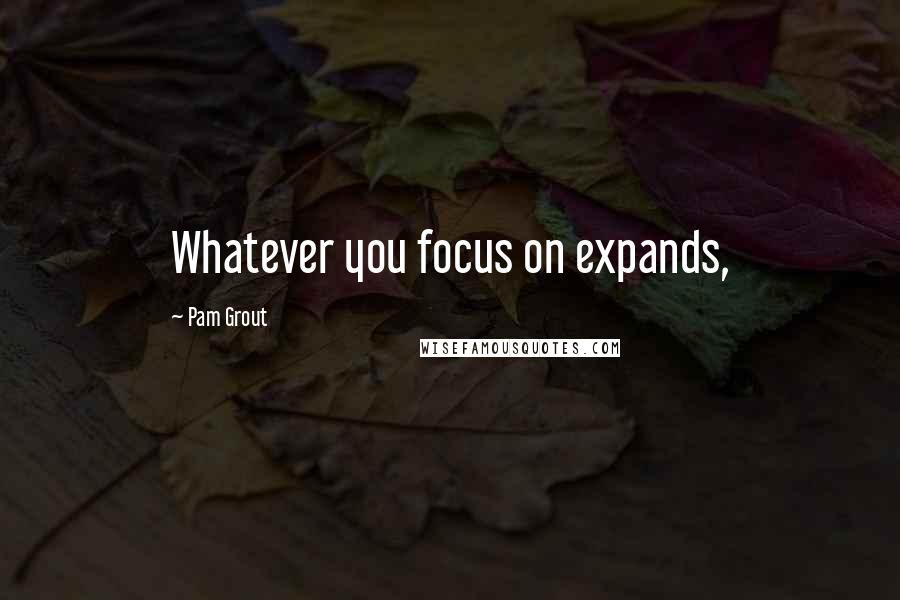 Pam Grout Quotes: Whatever you focus on expands,