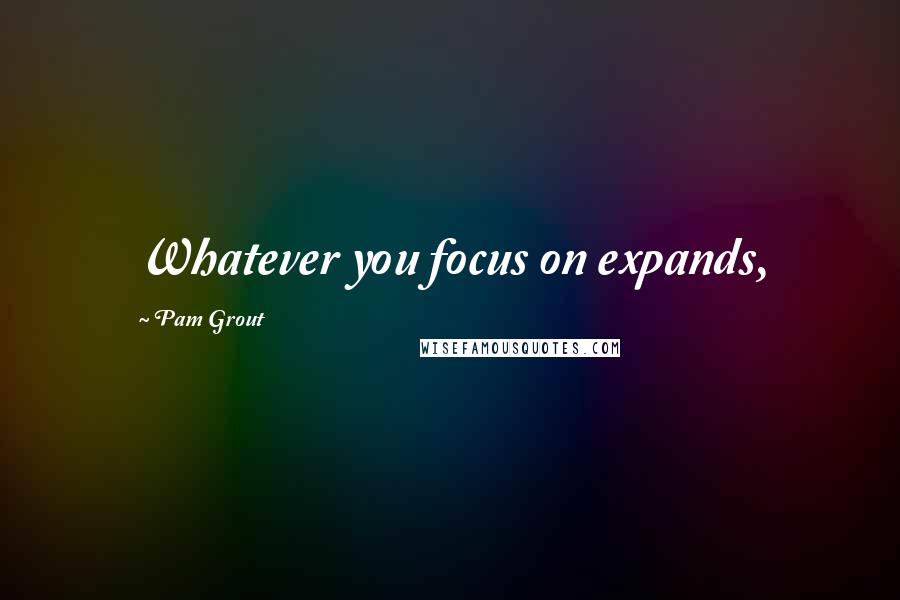 Pam Grout Quotes: Whatever you focus on expands,