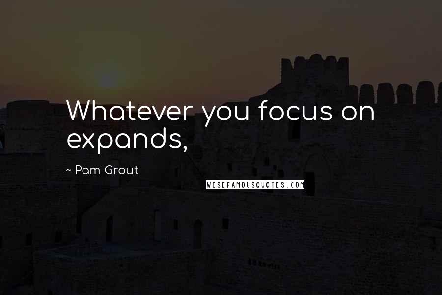 Pam Grout Quotes: Whatever you focus on expands,