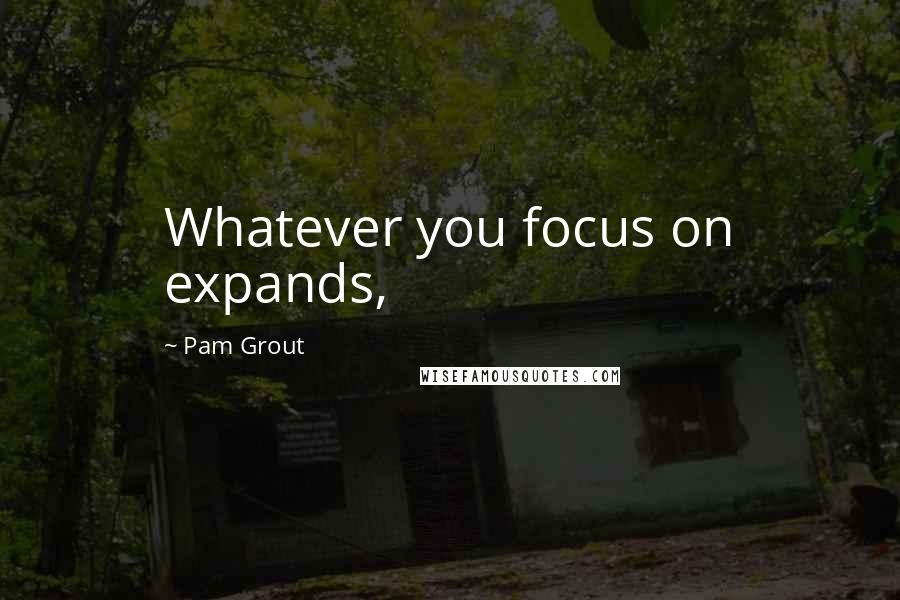 Pam Grout Quotes: Whatever you focus on expands,