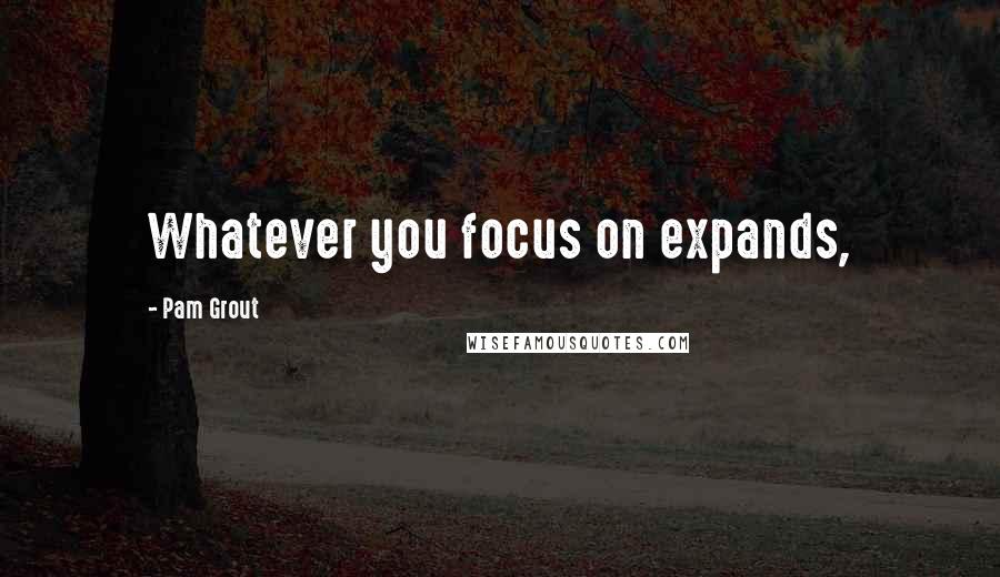 Pam Grout Quotes: Whatever you focus on expands,