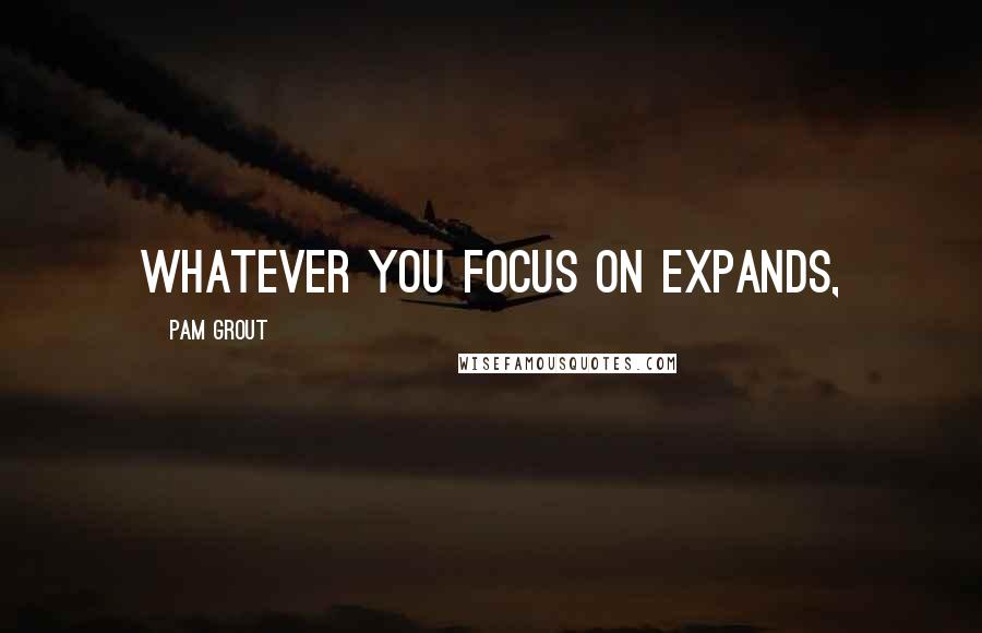 Pam Grout Quotes: Whatever you focus on expands,