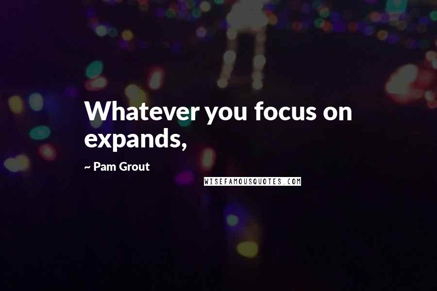 Pam Grout Quotes: Whatever you focus on expands,
