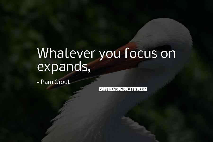 Pam Grout Quotes: Whatever you focus on expands,