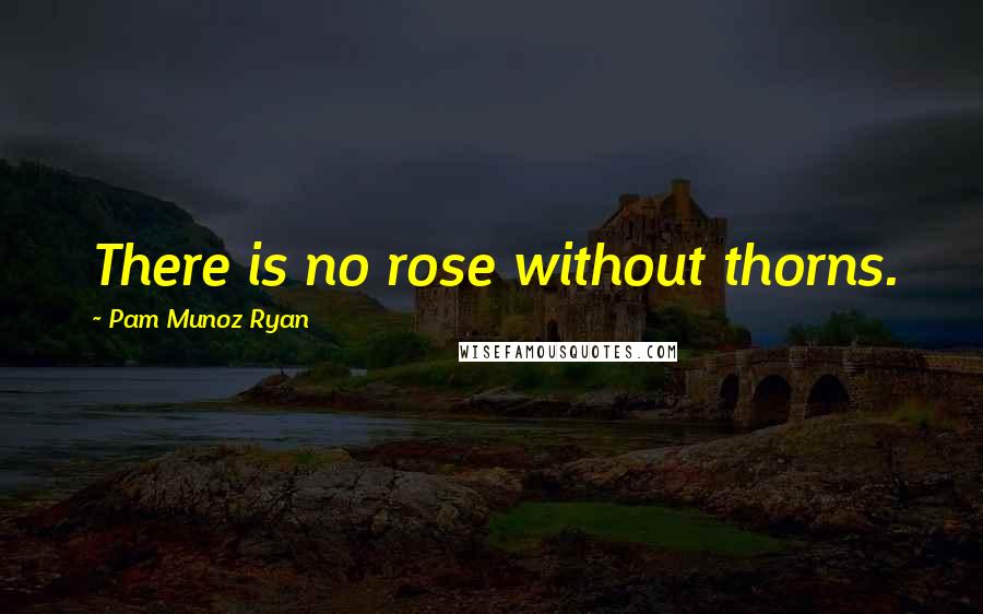 Pam Munoz Ryan Quotes: There is no rose without thorns.