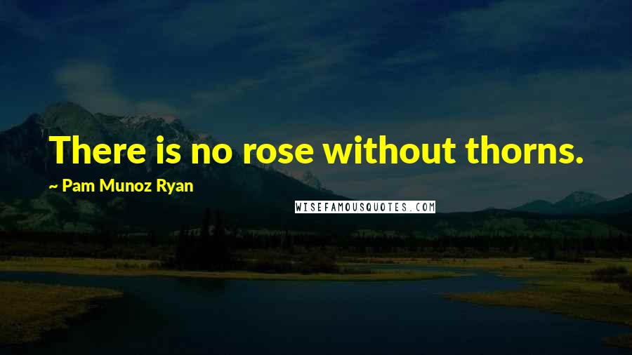 Pam Munoz Ryan Quotes: There is no rose without thorns.