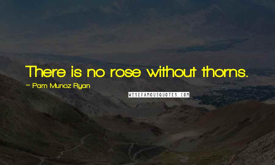 Pam Munoz Ryan Quotes: There is no rose without thorns.