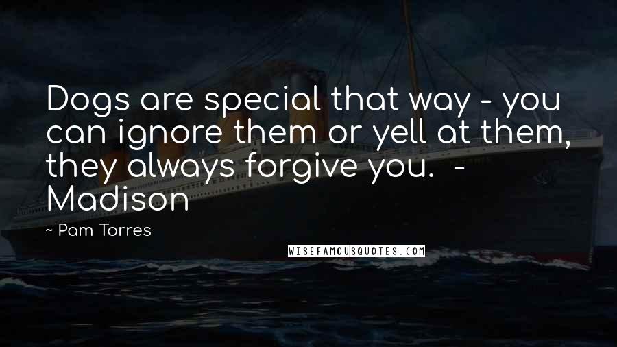 Pam Torres Quotes: Dogs are special that way - you can ignore them or yell at them, they always forgive you.  - Madison