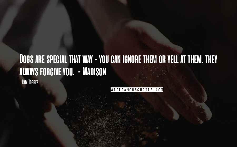 Pam Torres Quotes: Dogs are special that way - you can ignore them or yell at them, they always forgive you.  - Madison