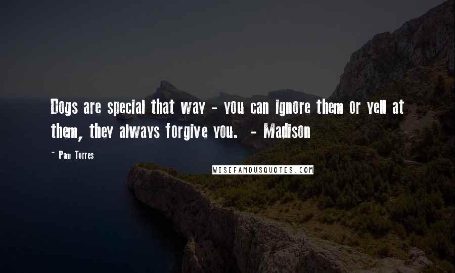 Pam Torres Quotes: Dogs are special that way - you can ignore them or yell at them, they always forgive you.  - Madison