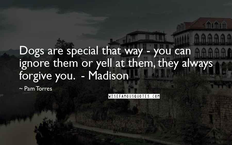 Pam Torres Quotes: Dogs are special that way - you can ignore them or yell at them, they always forgive you.  - Madison