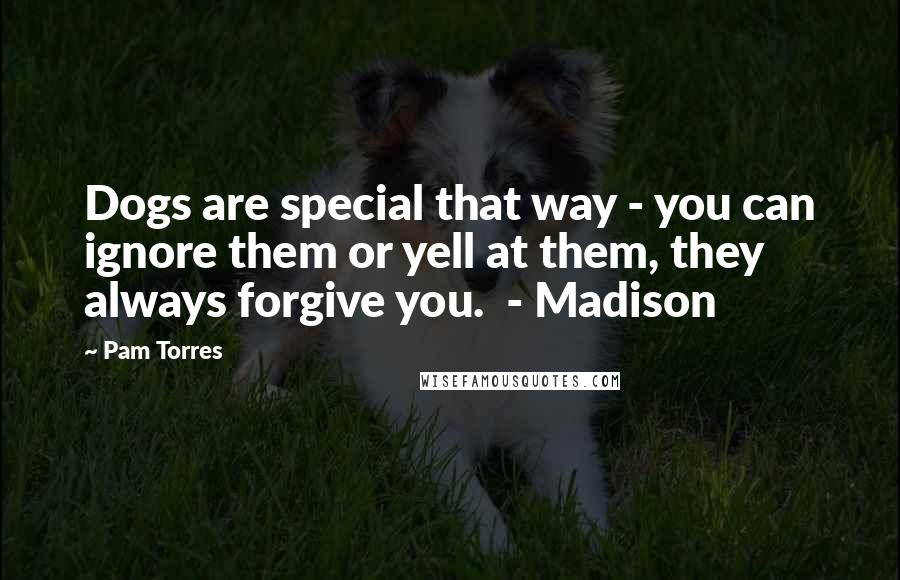 Pam Torres Quotes: Dogs are special that way - you can ignore them or yell at them, they always forgive you.  - Madison