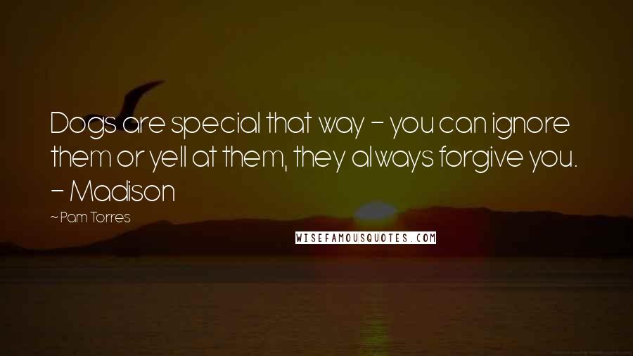 Pam Torres Quotes: Dogs are special that way - you can ignore them or yell at them, they always forgive you.  - Madison