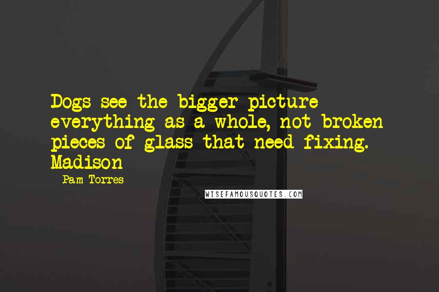 Pam Torres Quotes: Dogs see the bigger picture - everything as a whole, not broken pieces of glass that need fixing. - Madison