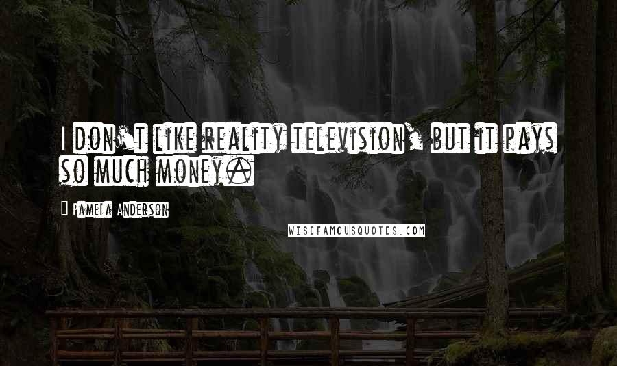 Pamela Anderson Quotes: I don't like reality television, but it pays so much money.