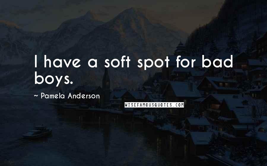 Pamela Anderson Quotes: I have a soft spot for bad boys.